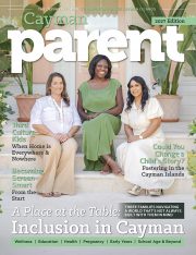 Cp27 Cover Web